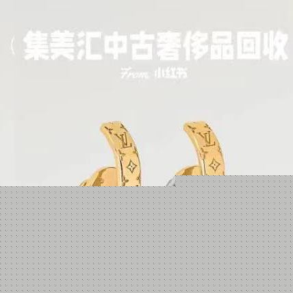 LV Earrings
